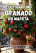 Cultivar un granado en maceta: Guía completa paso a paso para cultivar granados en maceta: Desde la siembra hasta la cosecha