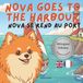 Nova the Pomeranian: Outdoor Adventures (Bilingual: French and English) - Nova Goes To The Harbour