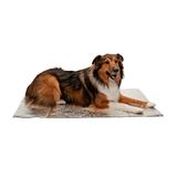 FurHaven ThermaPup Zelfverwarmende mat voor bed en deken, zonder elektriciteit, reflecteert lichaamswarmte, reflecterend ThermaPup thermisch inzetstuk, zilver, jumbo/XL