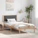 Maison Exclusive - Cadre de lit, gris foncé, 100 x 200 cm, pin massif