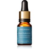 Antipodes Maya