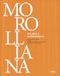 Morolliana. EDIFIR Morolliana. Tra arte e architettura. Scritti per Gabriele Morolli. Atti della Giornata di studio (Firenze, 31 marzo 2005)