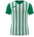 Joma Inter II Jersey Groen/Wit