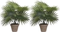 Mica Decorations Palm kunstplant/struik - 2x - groen - H30 x D35 cm