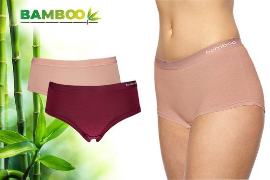 Bamboo Hipster Ondergoed Dames - 2 Stuks - Multi - Maat M