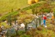 Faller - 24 Kattenstaarten/riet - Modelbouwsets, Hobbybouwspeelgoed voor Kinderen, Modelverf en Accessoires