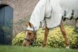 Horseware Rambo Sweet Itch Hoody Full Neck Beige - 115/168