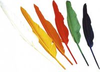 Widmann Indianen veren - 12 stuks - gekleurd - 25-30 cm
