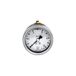 Glycerinmanometer, RIEGLER Glycerinmanometer, CrNi-staal, eenvoudige schaal in bar, aansluiting achter centraal, G 1/4, kwaliteitsincl. 1,6, meetbereik 0-4,0 bar, Ø 63