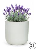 Mazovia Pot de jardin rond Blanc/Écru 56x56x54cm Résistant aux UV