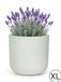 Mazovia Pot de jardin rond Blanc/Écru 56x56x54cm Résistant aux UV