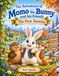 The Adventures of Momo the Bunny and His Friends: The Four Seasons