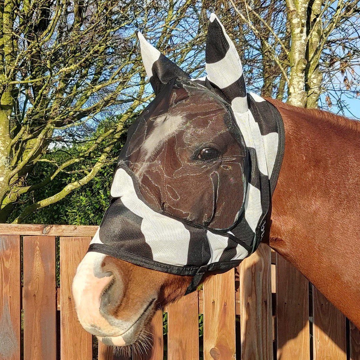 Bucas Buzz-Off Zebra Deluxe Masker met Oren XS Zebra