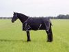 QHP Regendeken Turnout XL 0 grs - Black - 215