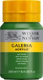 Winsor & Newton Galeria Acrylverf - 250ml - Sap Green