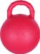 Pagony Speelbal - Rood - Kunststof - Maat 1