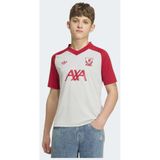 ADIDAS PERFORMANCE Functioneel shirt 'FC Liverpool 26/27' grijs / rood