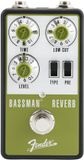 Fender Bassman Reverb - Bas reverb - Groen