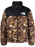 The North Face Mountain heren Softshelljas
