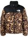 The North Face Mountain heren Softshelljas