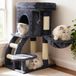 Poteau griffoir - 75 cm - Avec maisonnette pour chat, hamac et échelle d'escalade - Gris fumé