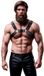 Fetish Submissive International Dreamlove S.A.U. Fetish Submissive Attitude - Mens Adjustable Eco-Leather Chest Bulldog Harnas