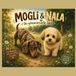 Mogli und Nala Die Geheimnissevolle Spur