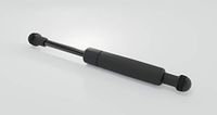 Stabilus 223504 gasveer, roestvrij staal
