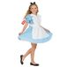 Fun Shack Sprookjesjurk voor meisjes, blauwe jurk met wit schort en strikhaarband, perfect voor Boekendag verkleedplezier, L