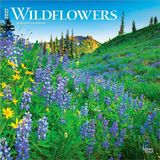 Wildflowers Browntrout Wildflowers 2027 12 X 24 Inch (Hanging) Monthly Square Wall Calendar Plastic-Free