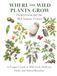 Pennsylvania and the Mid-Atlantic Forests: A Forager’s Guide to Wild Food, Medicinal Herbs, and Natural Remedies
