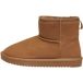 ONLY ONLFEODORA Teddy Lined Boot Enkellaarzen, Brownie, 38 EU