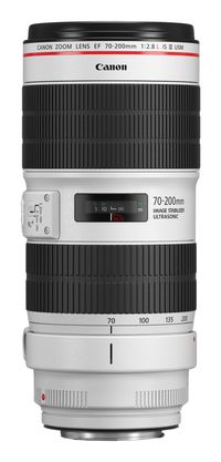 Canon EF 70-200mm f/2.8L IS III USM Lens - Black/White