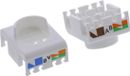 InLine Keystone RJ45 female, afgeschermd, Cat.6A, oranje 8 Pak