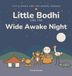 Little Libri GmbH Little Bodhi And The Wide Awake Night Hardcover