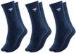 Tecnifibre Chaussettes Classic 3 Paires Bleu EU 39-43