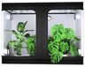 StarTech JP Kweekkas tent - 240x120x200cm - 600D Oxford - Reflecterende diamantenfolie aan de binnenkant - Frame van ijzeren buizen, metalen hoeken - Dicht geweven net - Zwart