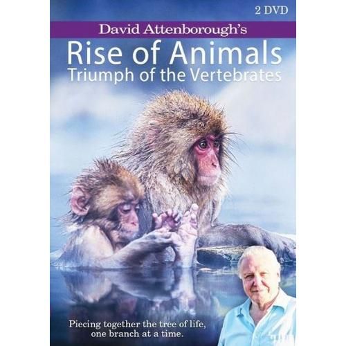 KOLMIO MEDIA Rise Of Animals With David Attenborough - DVD