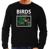 Bellatio Decorations Birds of the World Papegaai foto sweater zwart heren XXL