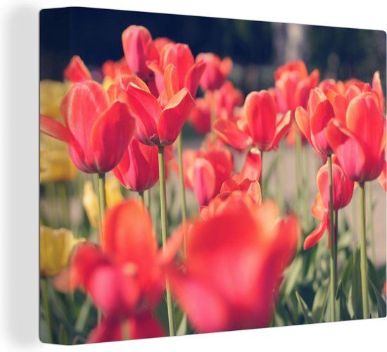 OneMillionCanvasses Canvas schilderij 160x120 cm - Tulpen - Multicolor - Rechthoek