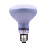 LAES LED Filament-Reflector, Neodimium, voor Voedsel, Vis