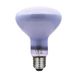 LAES LED Filament-Reflector, Neodimium, voor Voedsel, Vis