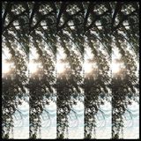 Dialectic Pontiak - Dialectic Of Ignorance (LP)