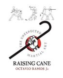 Raising Libri GmbH Raising Cane - The Unexpected Martial Art