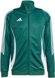 adidas Tiro 24 Training Sporttrui Heren Groen - Maat 2XL