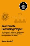 Your private Consulting Project: The Consultant's Toolbox for Solopreneurs and Small Business Owners: Structured thinking instead of gut instinct