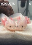 CalendarsRUs Axolotl A3 Wandkalender 2027 Dieren Roze Wit
