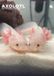 CalendarsRUs Axolotl A3 Wandkalender 2027 Dieren Roze Wit
