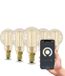 Calex Slimme Lamp - Set van 5 stuks - Wifi LED Filament Verlichting - E14 - Smart Lichtbron Goud - Dimbaar - Warm Wit licht - 4,9W