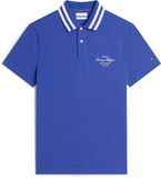 Tommy Hilfiger Heren Polo Katoen Blauw XL
